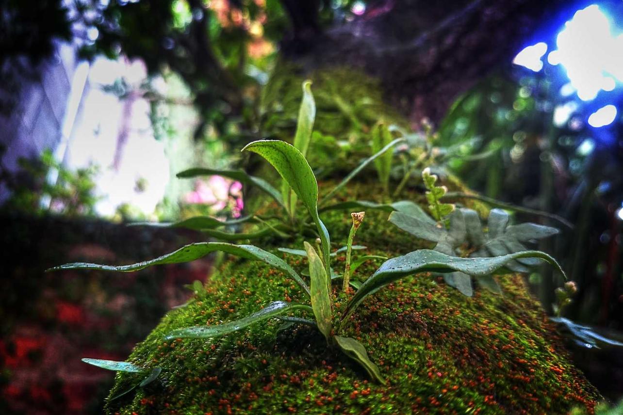 Quas natus officiis dolorem iusto sed nobis